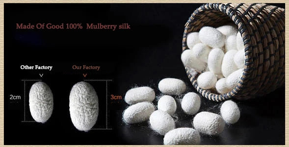 Silk Bra WomenFrench Silk Underwear Women Comfortable No Trace Mulberry Silk No Steel Ring Triangle Cup Bra Lenceria Para Damas
