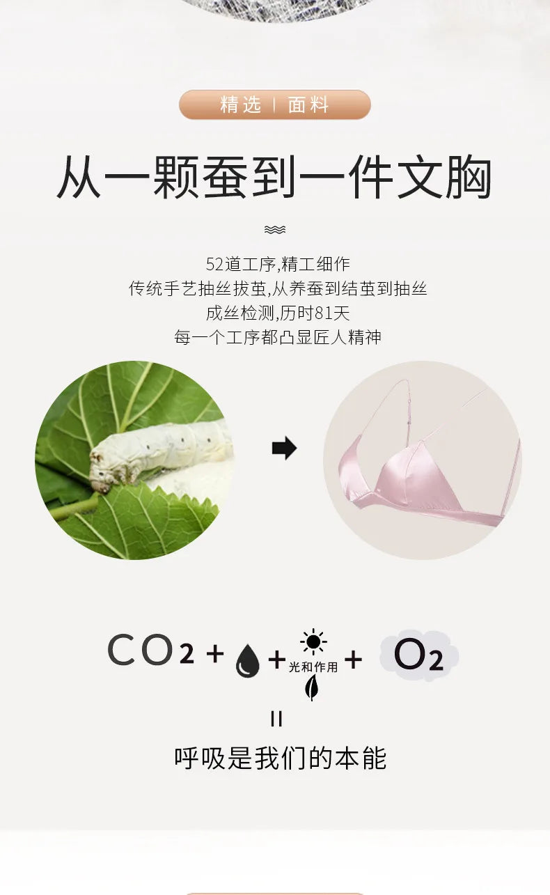 Silk Bra WomenFrench Silk Underwear Women Comfortable No Trace Mulberry Silk No Steel Ring Triangle Cup Bra Lenceria Para Damas