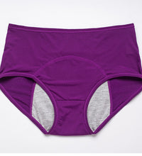Period Leak Proof Panties
